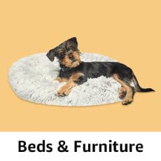 Dog Beds & Furniture