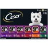CESAR Adult Wet Dog Food Classic Loaf in Sauce Grilled Chicken, Filet Mignon, Porterhouse Steak, Beef, Chicken & Liver and Turkey Variety Pack, 3.5 oz. Easy Peel Trays, Pack of 36