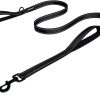 Heavy Duty Dog Leash - 2 Handles by Padded Traffic Handle for Extra Control, 6foot Long - Perfect for Medium to Large Dogs (6 ft, Black)