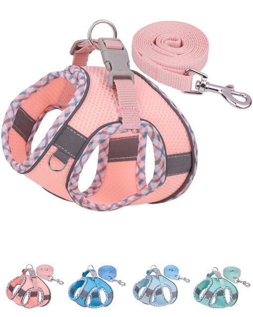 Petank Dog Harness for Small Medium Dogs No Pull, Puppy Harness and Leash Set, Easy Walk Dog Harness for Walking, Running, Training, Small Dog Harness, Medium Dog Harness (Pink,...