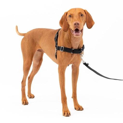 PetSafe Easy Walk No-Pull Dog Harness - The Ultimate Harness to Help Stop Pulling - Take Control & Teach Better Leash Manners - Helps Prevent Pets Pulling on Walks, Medium,...