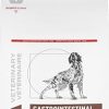 Royal Can-in Adult Gastrointestinal High Fiber Dry Dog Food 17.6 lb