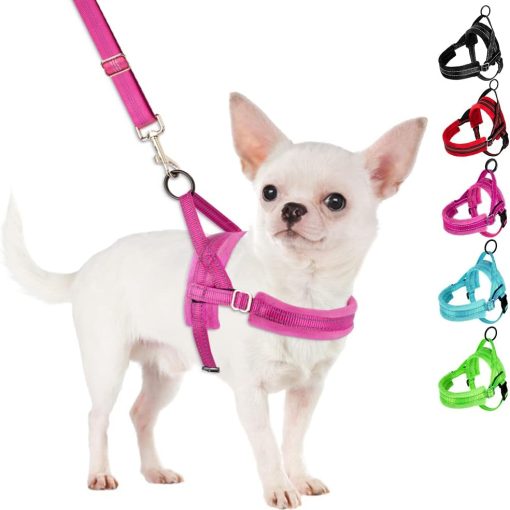 SlowTon No Pull Small Dog Harness and Leash Set, Puppy Soft Vest Harness Neck & Chest Adjustable, Reflective Lightweight Harness & Anti-Twist Pet Lead Combo for Small Medium...