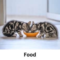 Storefront 230x230 Food cat EN. CB579801858 1