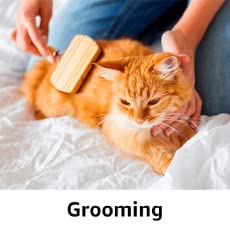 Cat-Grooming