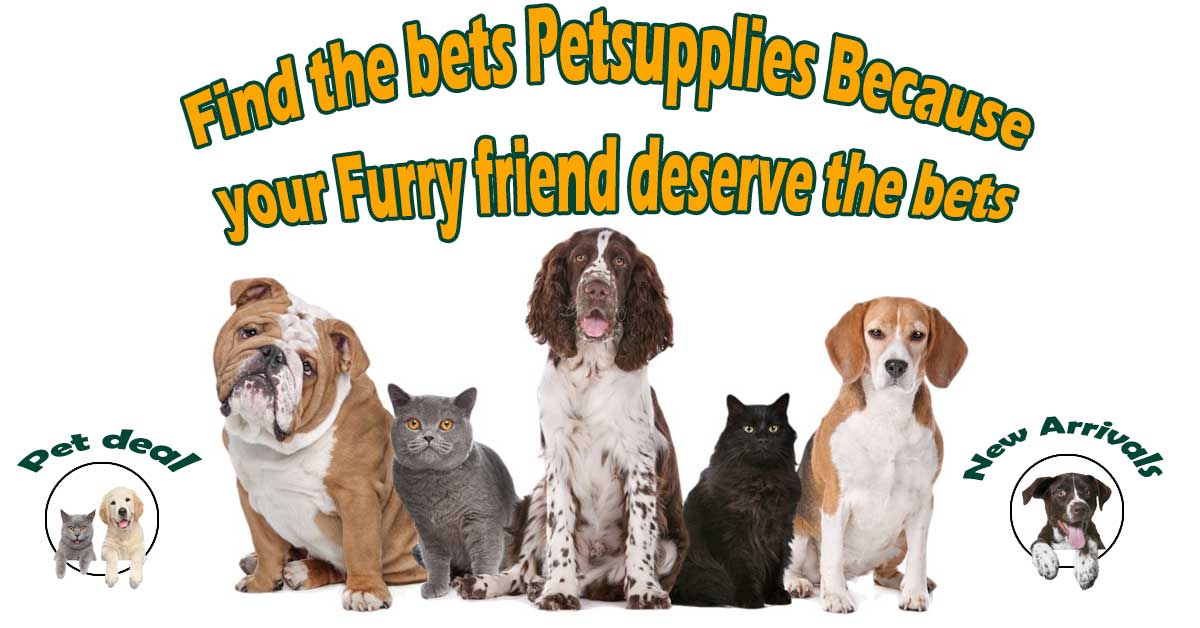 dogs supplies and cats supplies